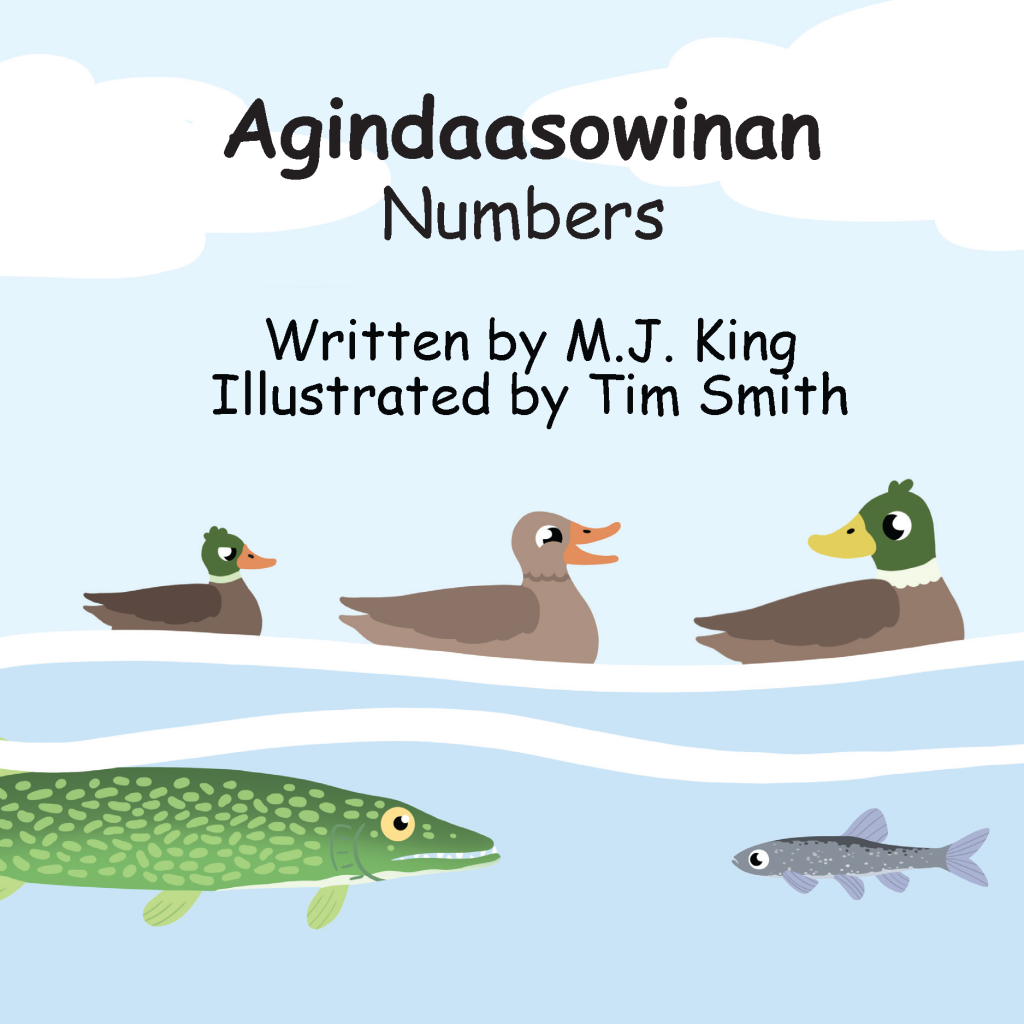 Agindaasowinan - Book