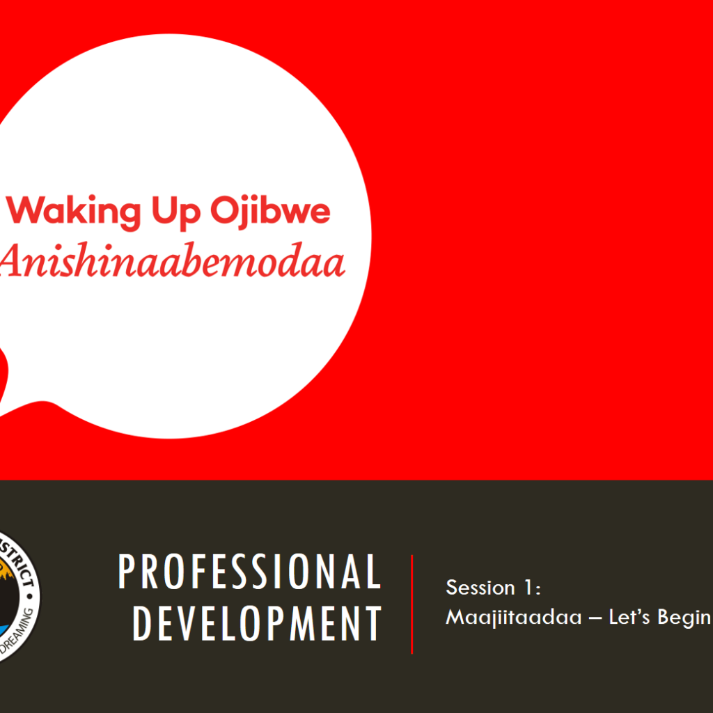 Professional Development Power Point Session 1