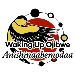 Waking Up Ojibwe's logo